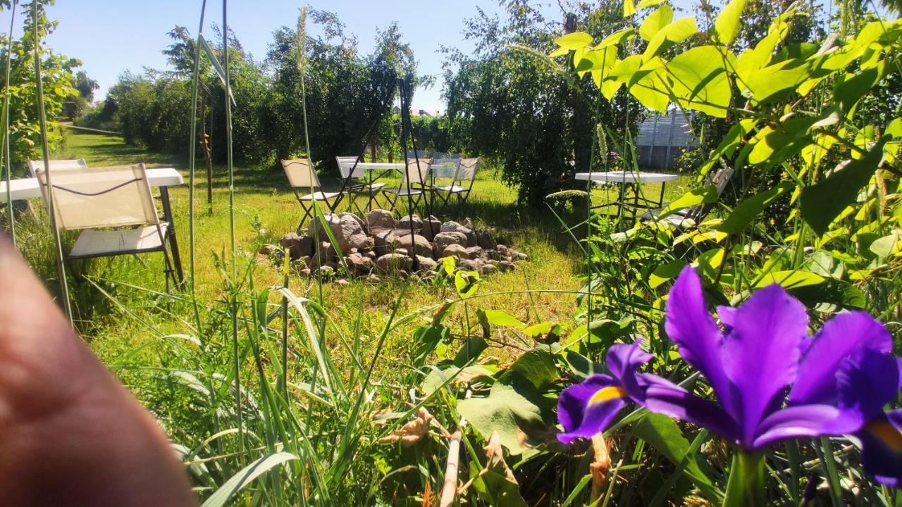 Ow Sargus Bed & Breakfast Wladyslawowo Luaran gambar