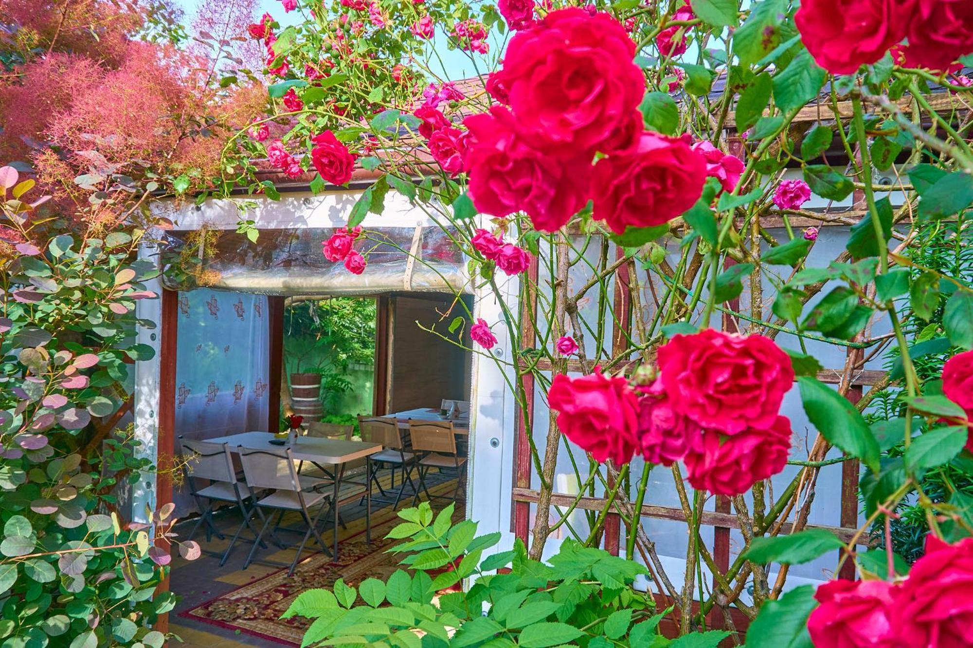 Ow Sargus Bed & Breakfast Wladyslawowo Luaran gambar