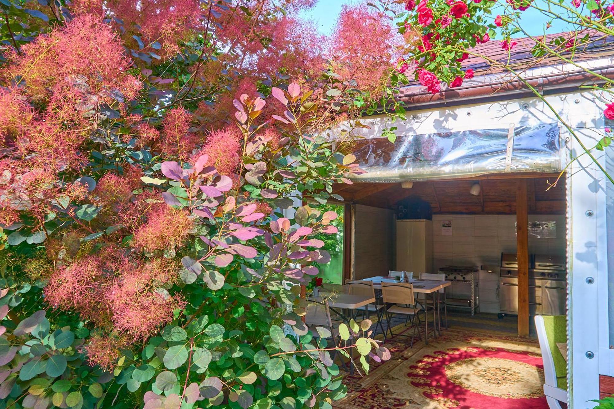 Ow Sargus Bed & Breakfast Wladyslawowo Luaran gambar